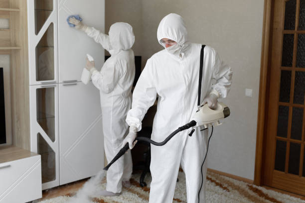 24/7 Emergency Odor Removal experts in Jenera, OH